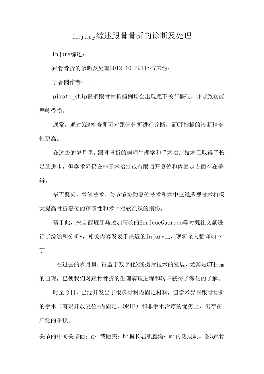 Injury综述跟骨骨折的诊断及处理.docx_第1页