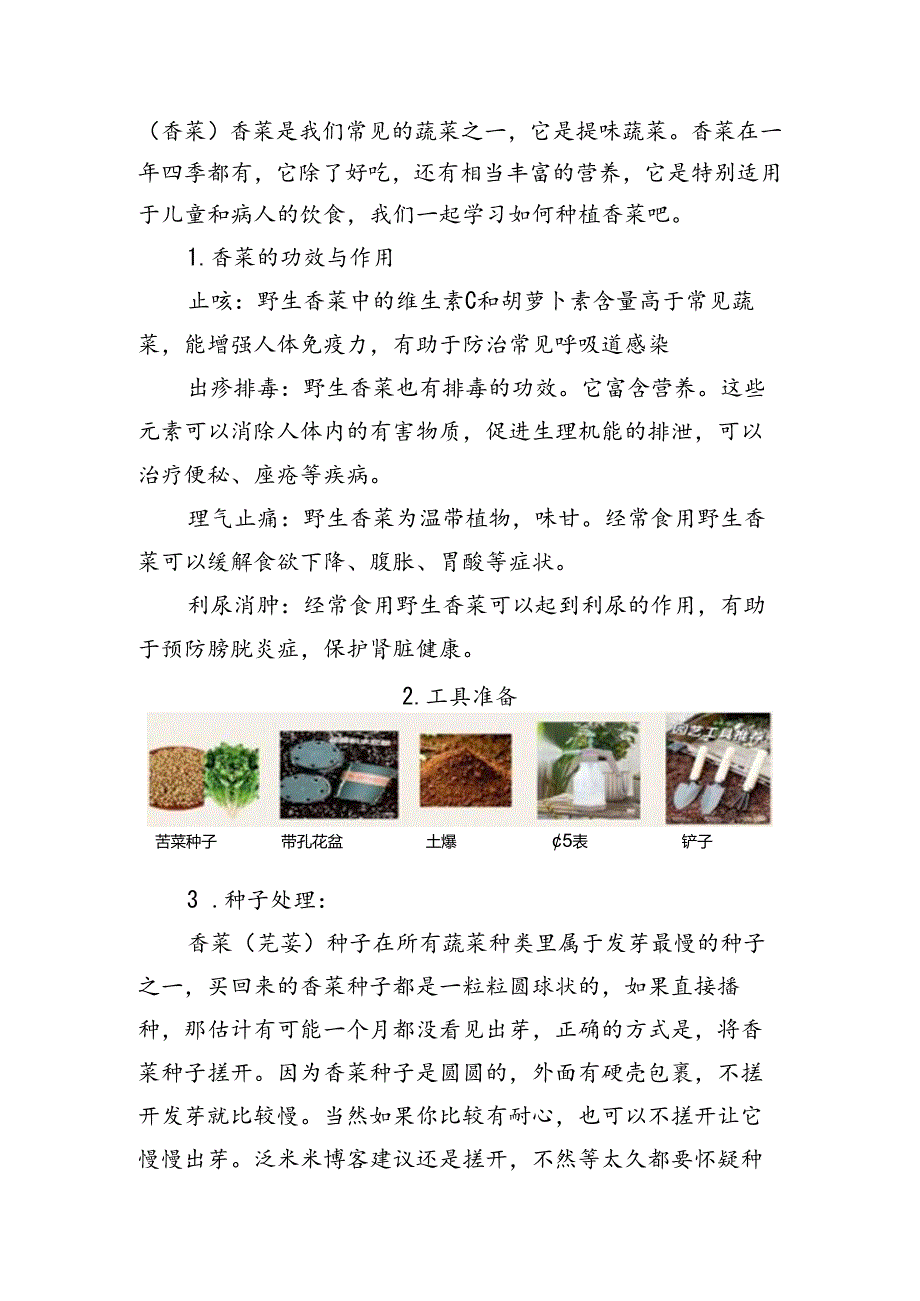 1《芫荽秧快长大》教学设计劳动一年级下册人民版.docx_第2页