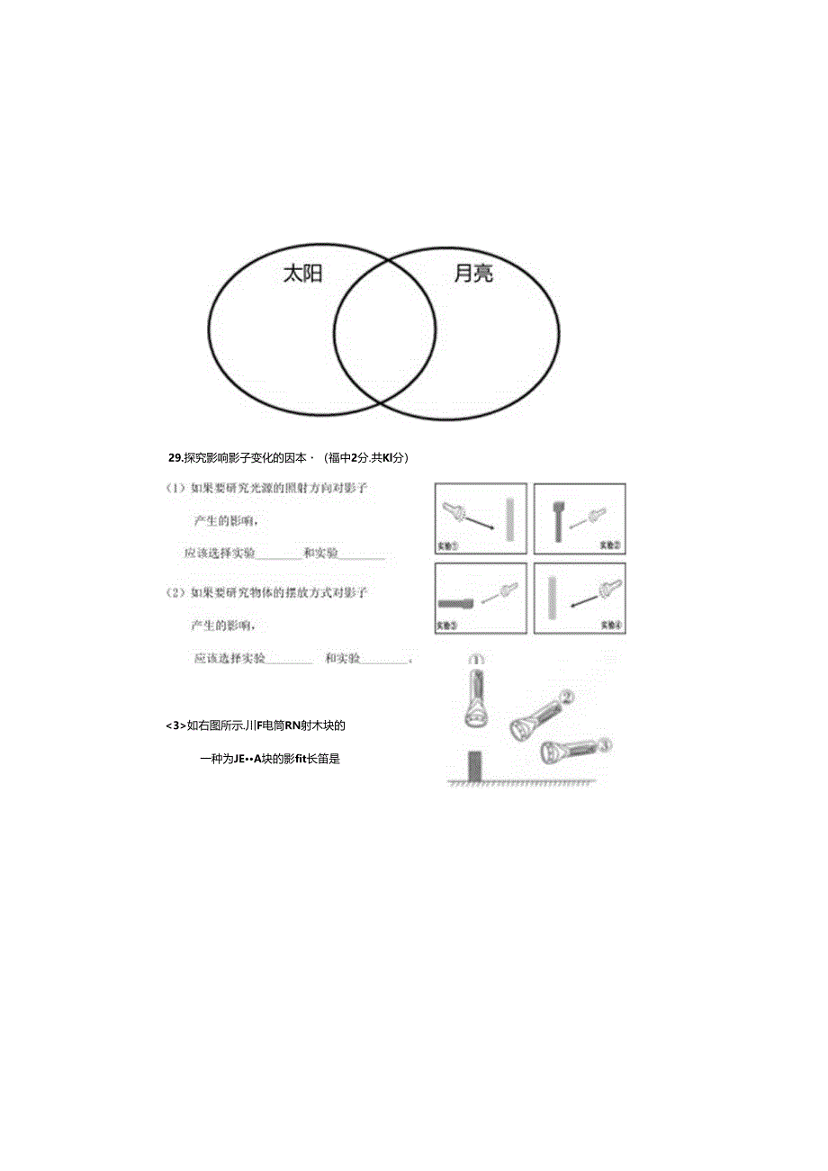 教科版三年级下册科学模拟卷.docx_第3页