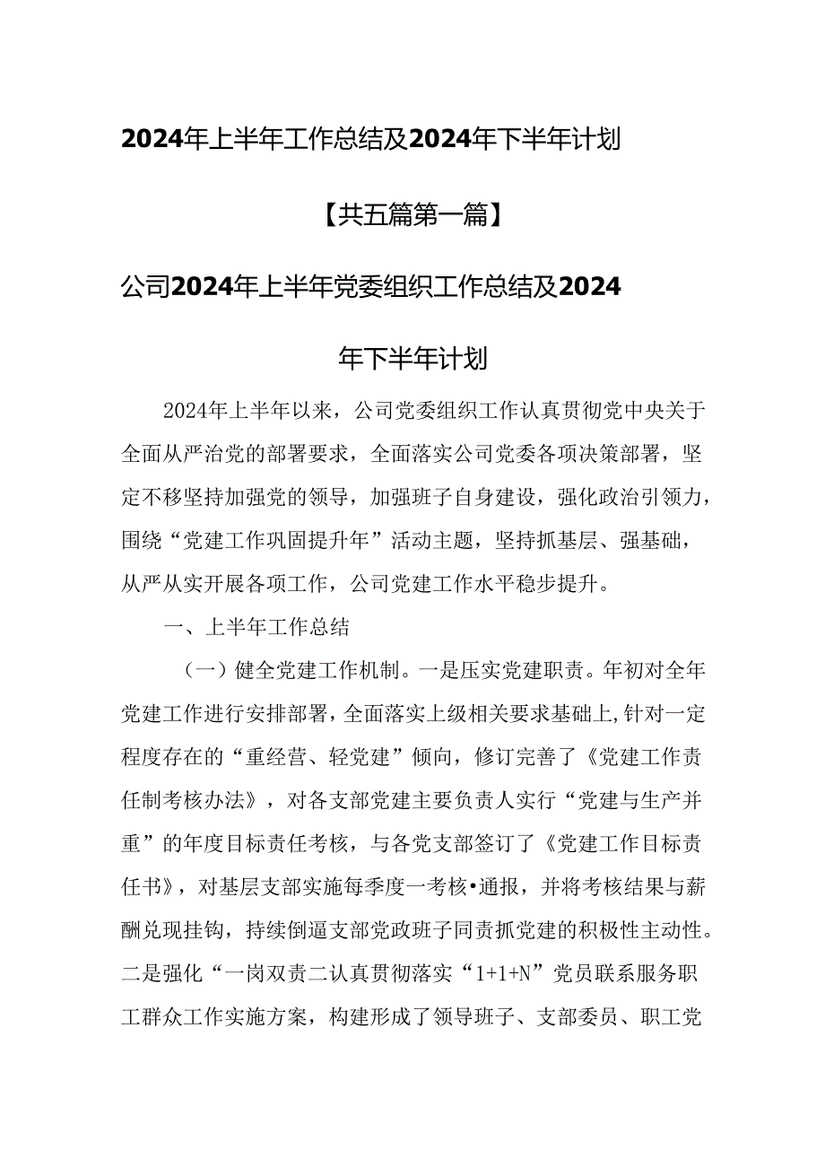 （5篇）2024年上半年工作总结及2024年下半年计划.docx_第1页