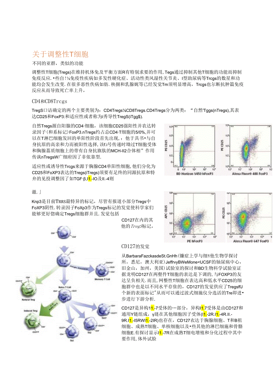 BD调节性T细胞.docx_第1页