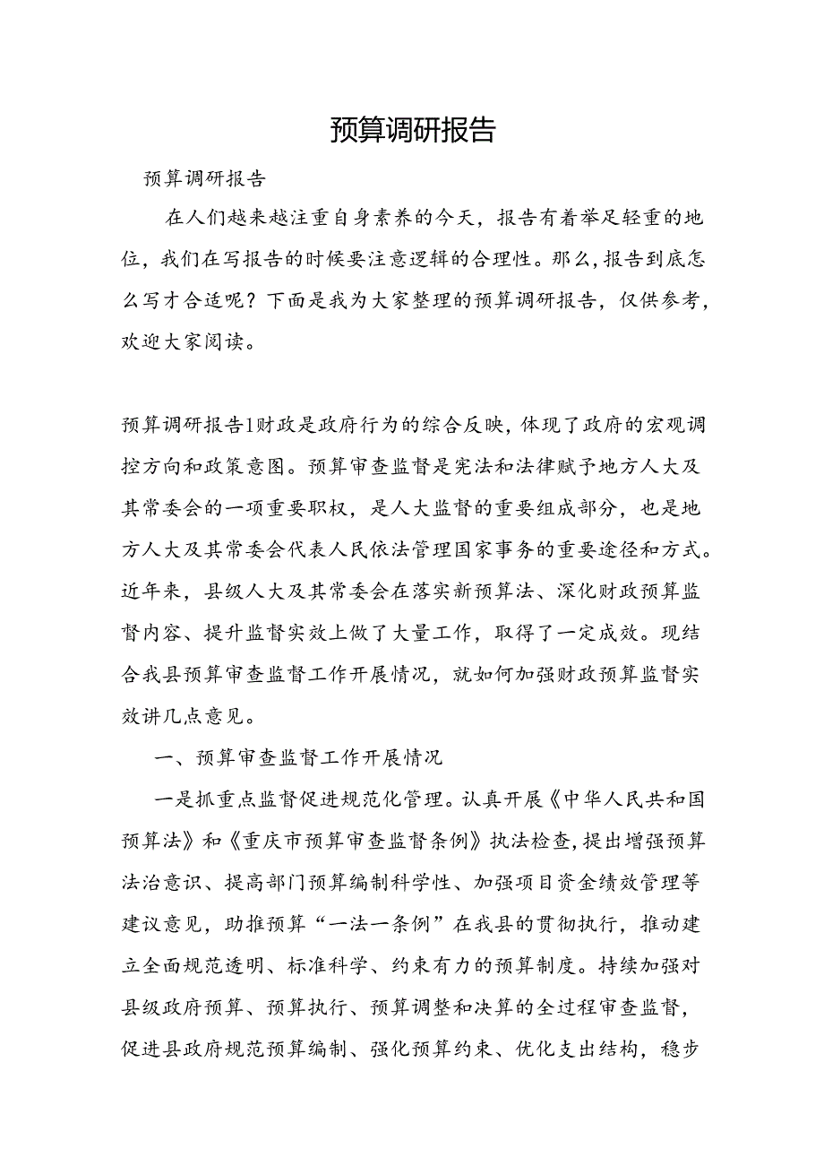 预算调研报告.docx_第1页