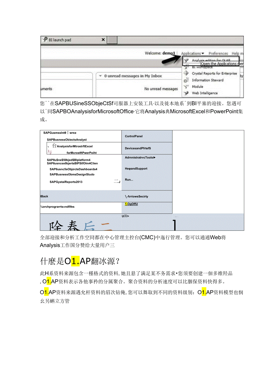 SAP BO分析 - 快速向导.docx_第2页