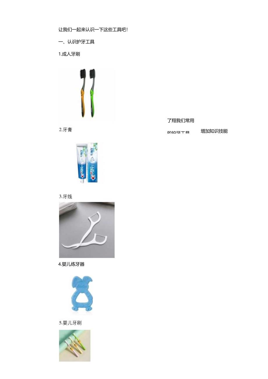 活动二《护牙工具》教案 沪科黔科版综合实践活动一年级上册.docx_第2页