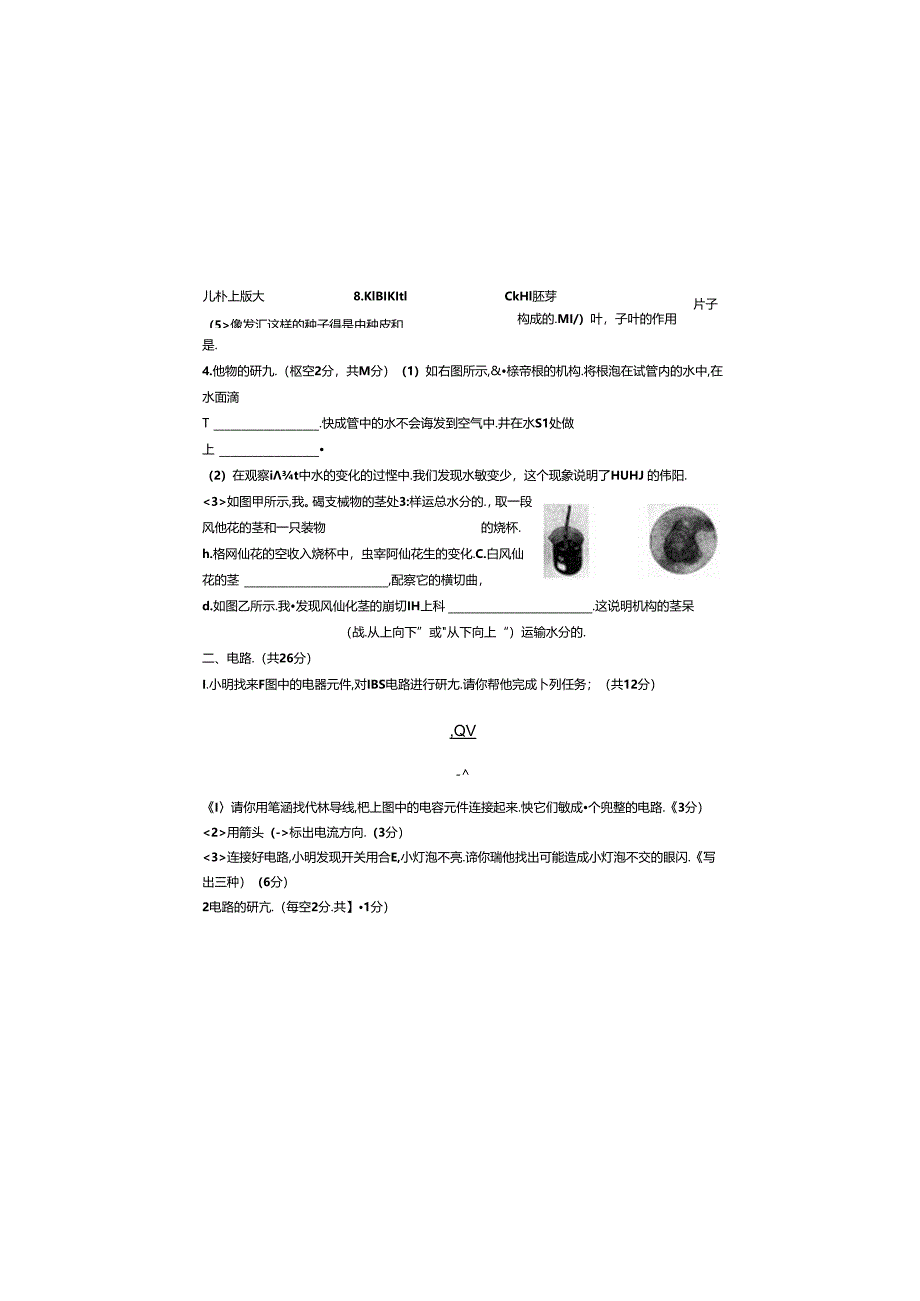 教科版四年级下册科学实验探究题专项练习卷.docx_第1页