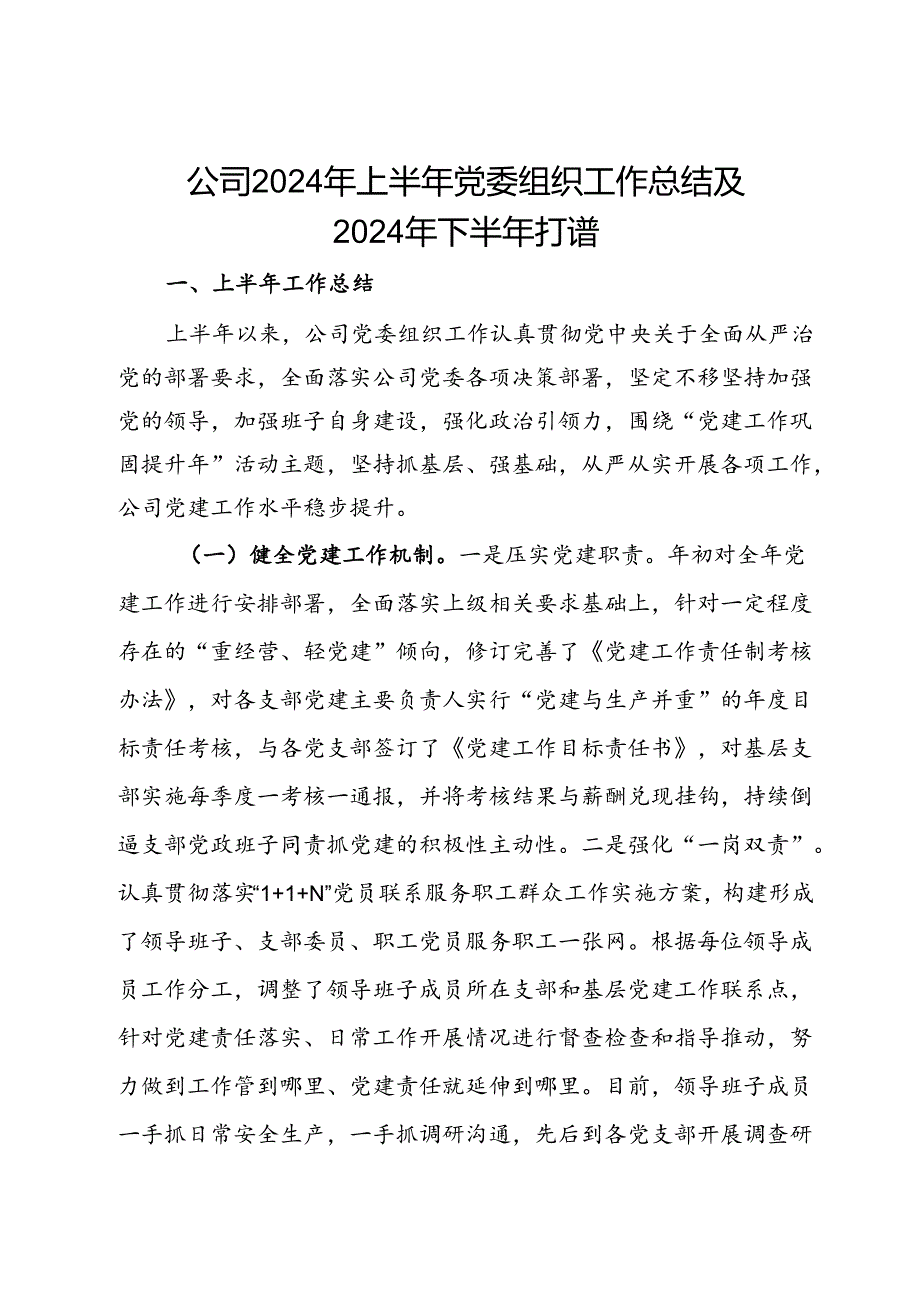 公司2024年上半年党委组织工作总结及2024年下半年打谱.docx_第1页