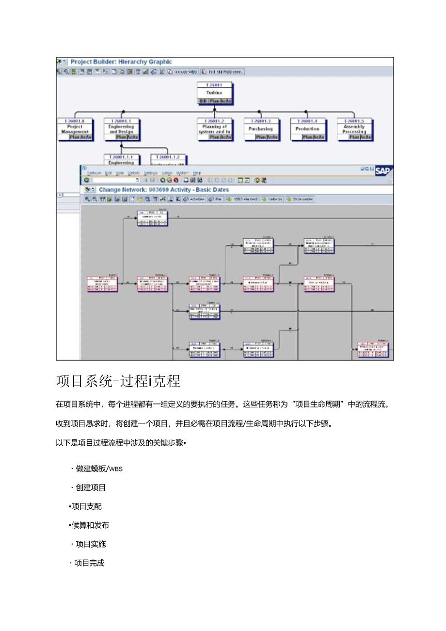 SAPPS快速指南.docx_第2页