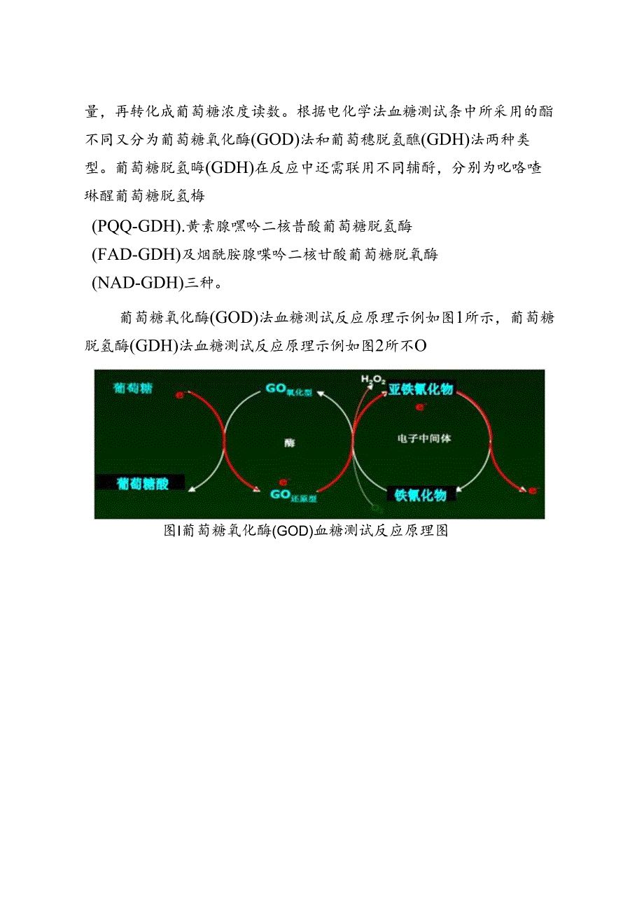 血糖仪注册审查指导原则（2024年修订版）.docx_第2页