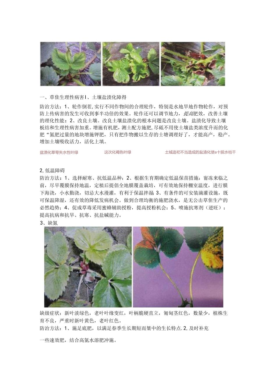 草莓生理性疑难杂症汇集和处理.docx_第1页