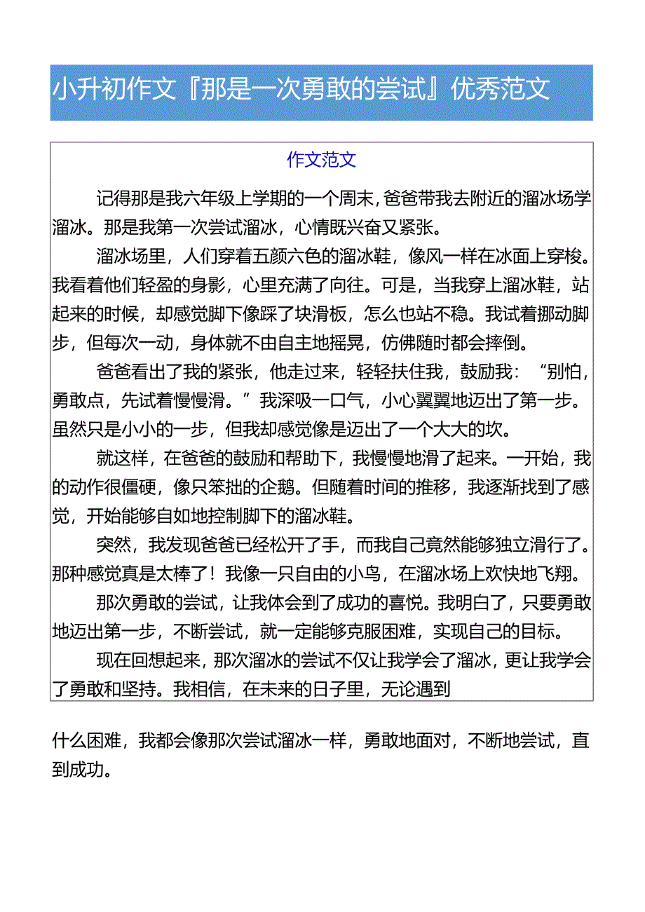 小升初作文那是一次勇敢的尝试优秀范文.docx_第1页