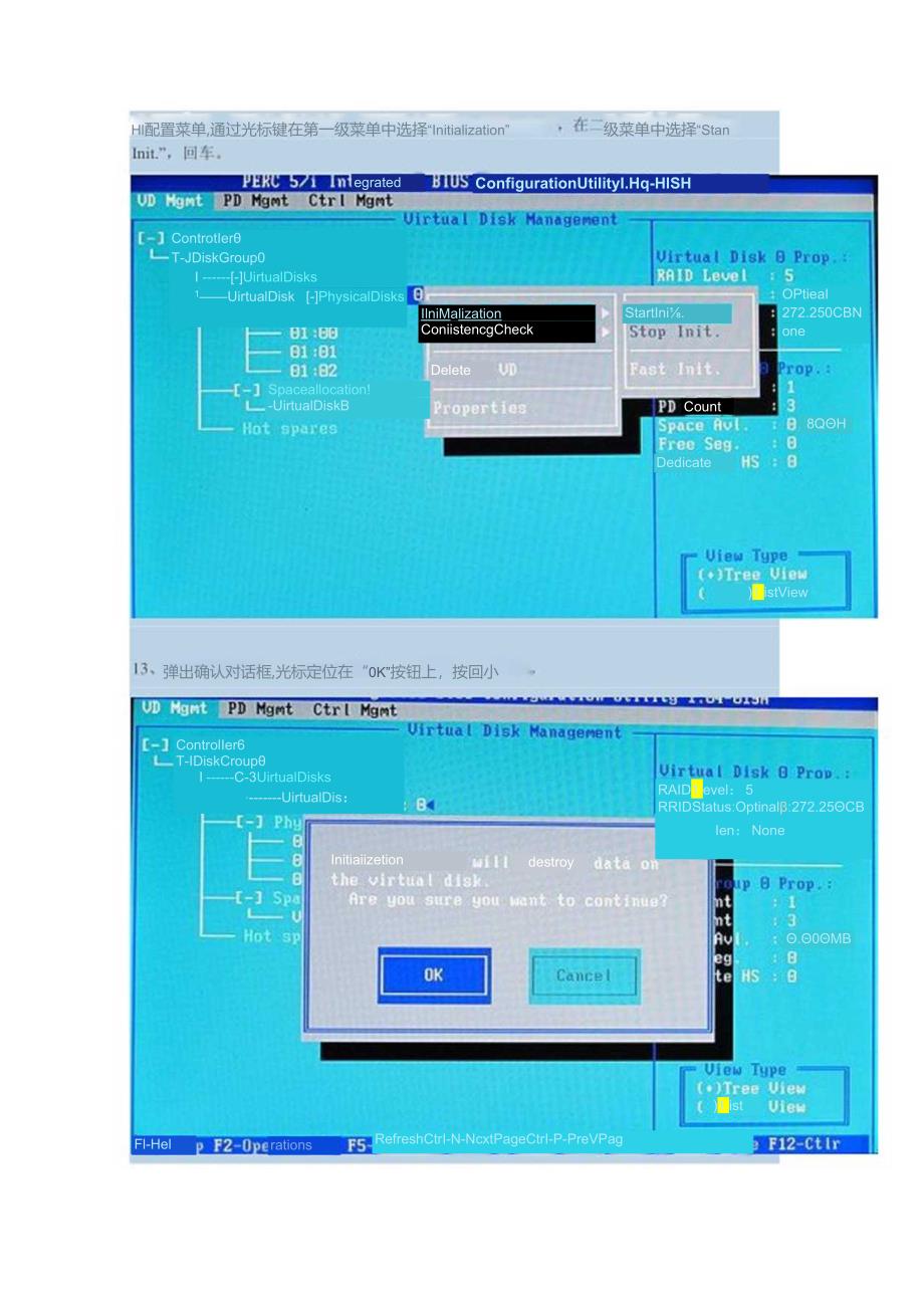 DELL服务器系统安装引导盘安装.docx_第2页