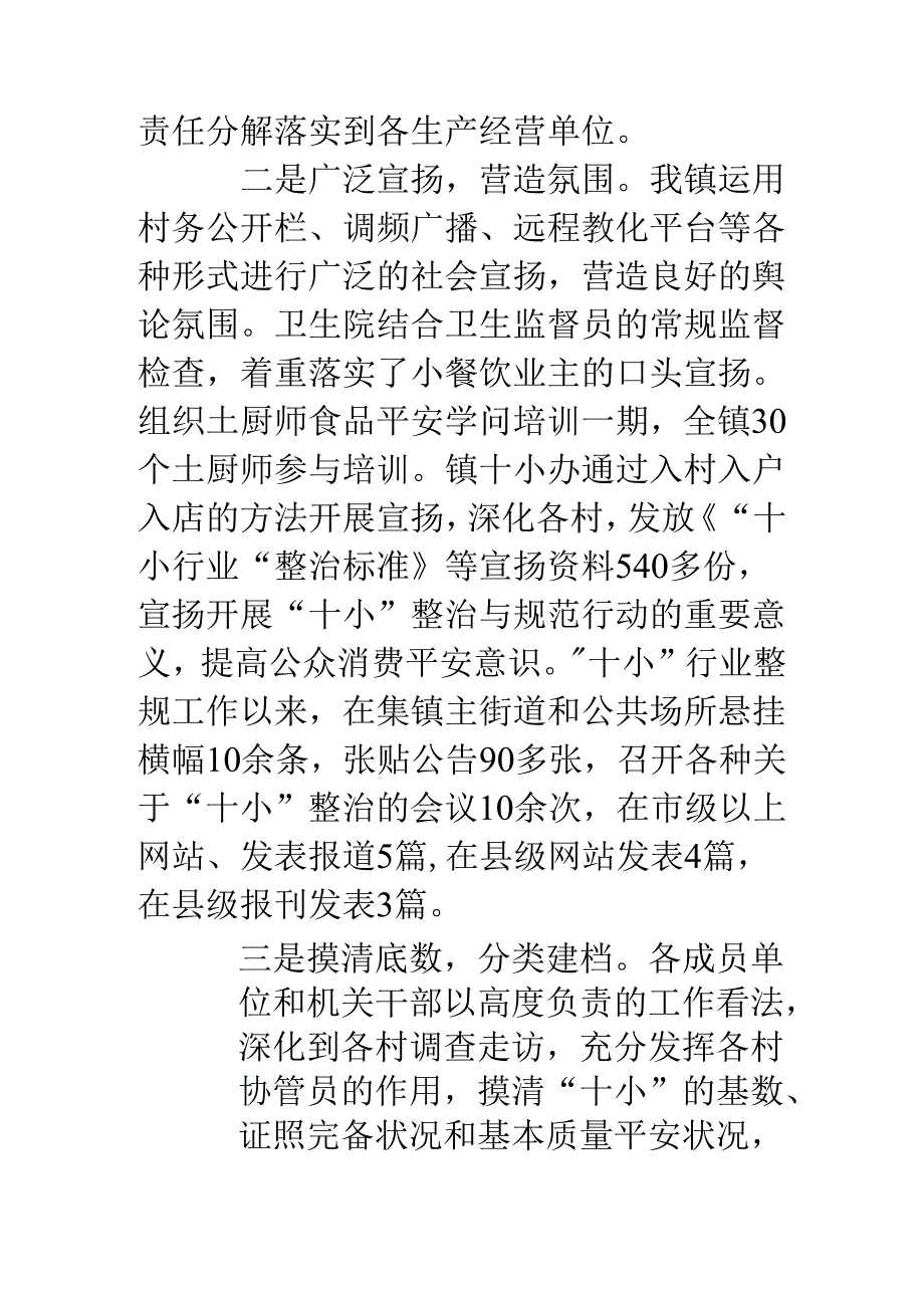 “十小”行业整治工作汇报材料.docx_第3页