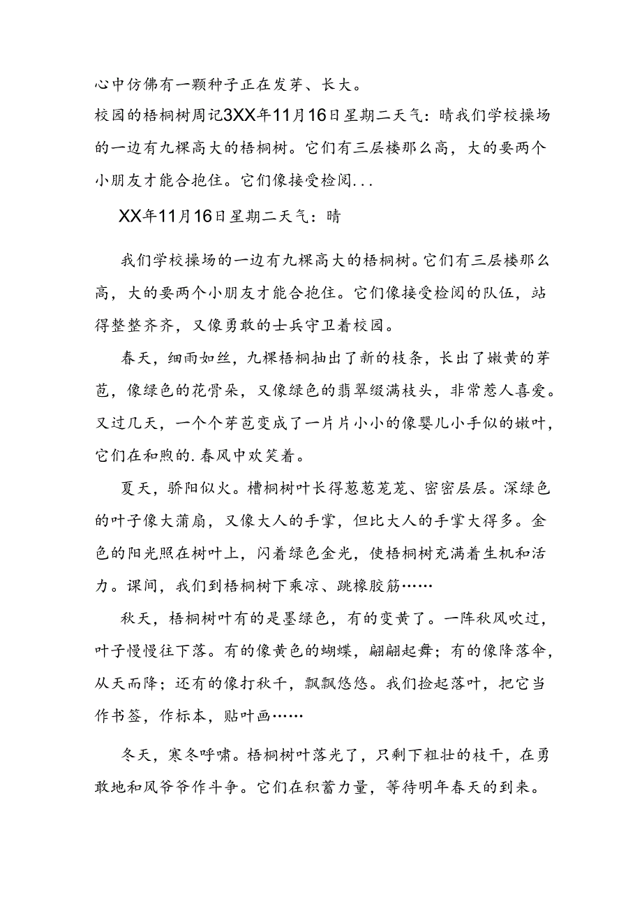 校园的梧桐树周记.docx_第3页