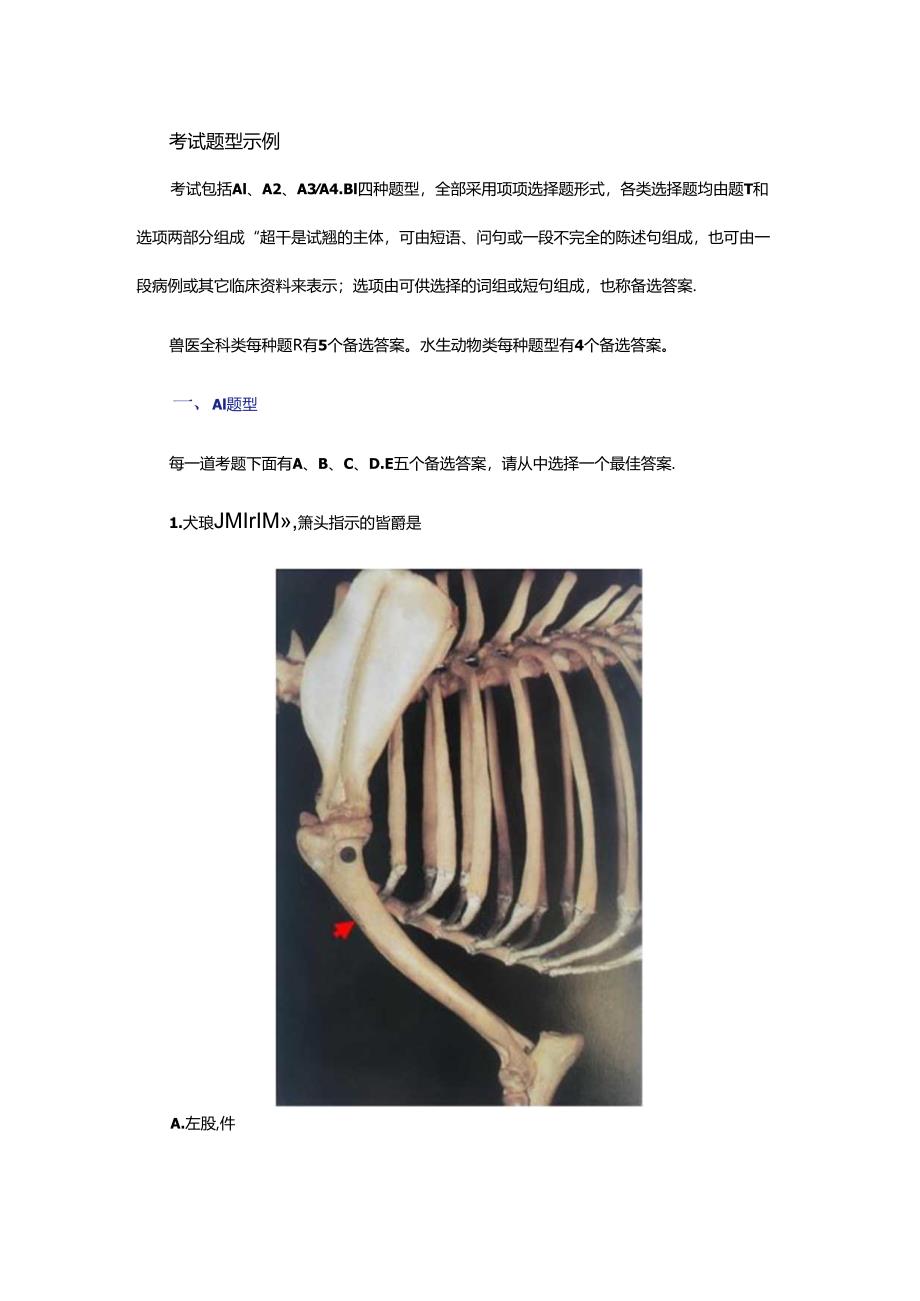 全国执业兽医资格考试题型介绍.docx_第1页