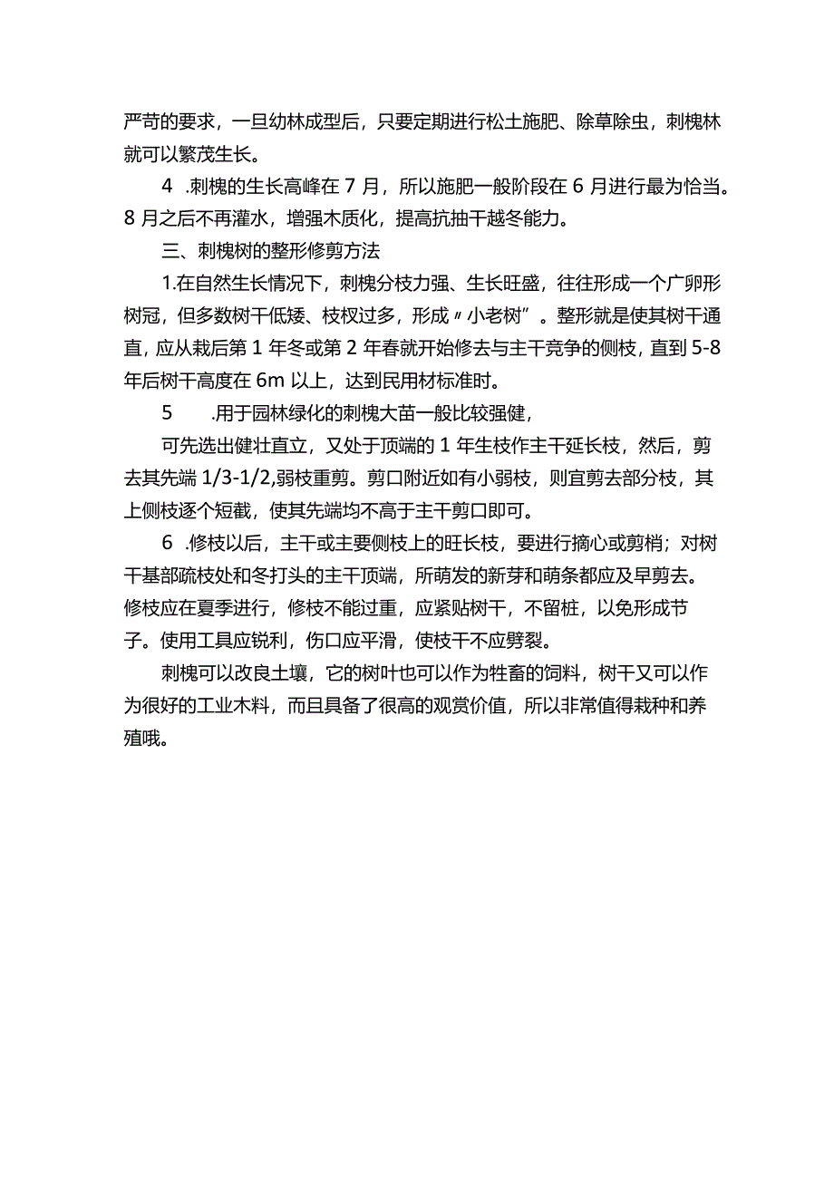 刺槐树的种植技术和养护方法详解.docx_第2页