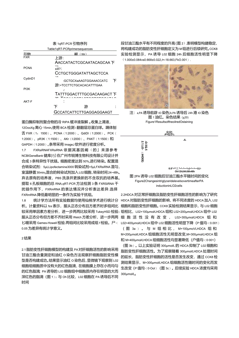 猪去氧胆酸对脂肪变性肝细胞活性的影响及其机制.docx_第3页