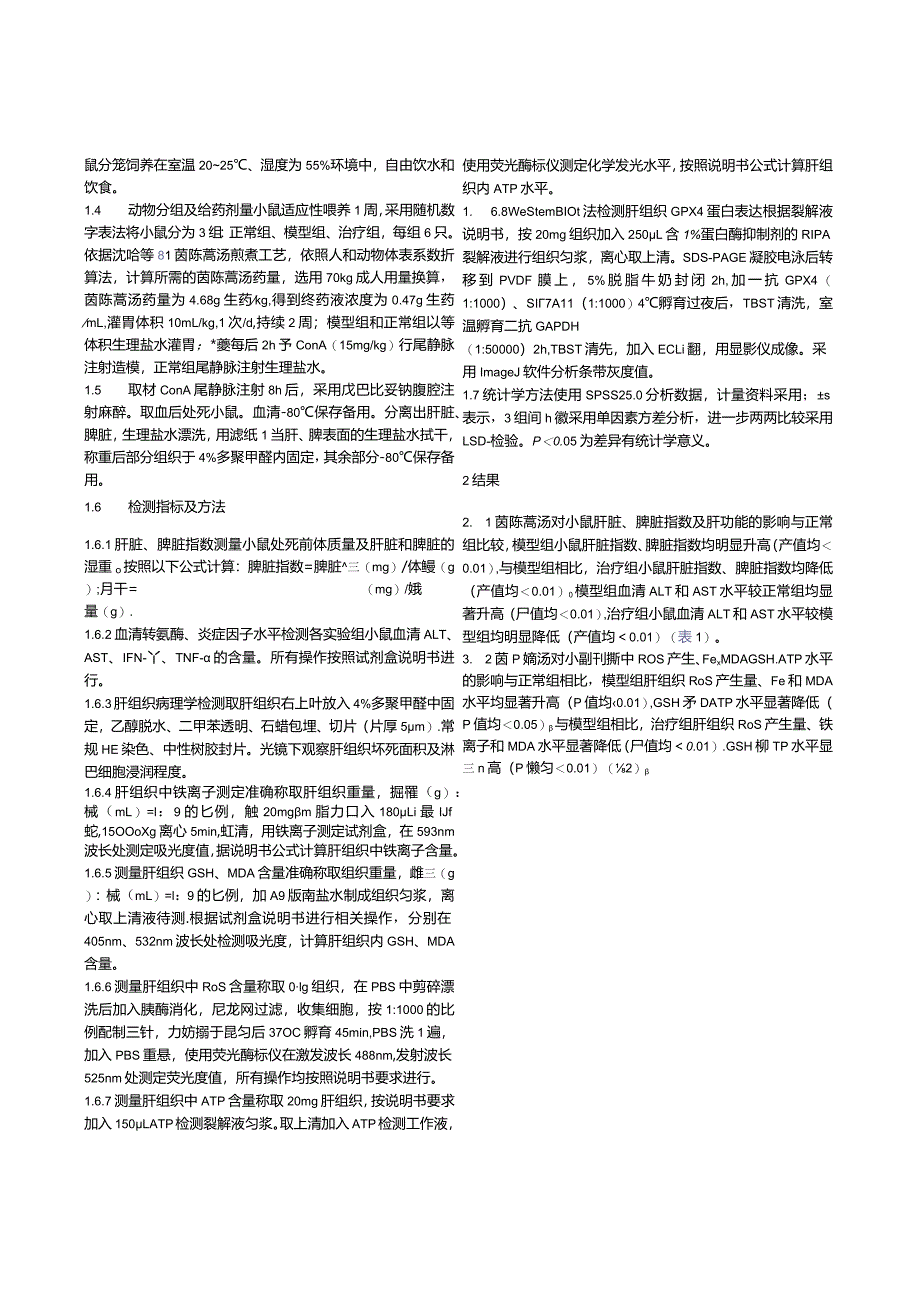 茵陈蒿汤对自身免疫性肝炎小鼠肝细胞铁死亡的抑制作用及其机制分析.docx_第3页