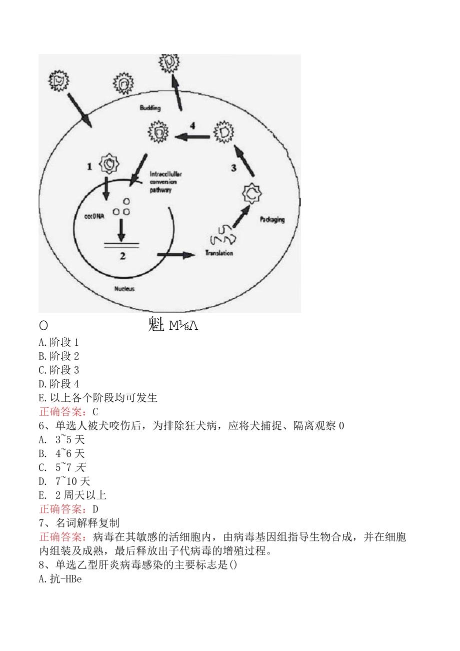 临床医学检验：临床病毒学知识学习.docx_第2页