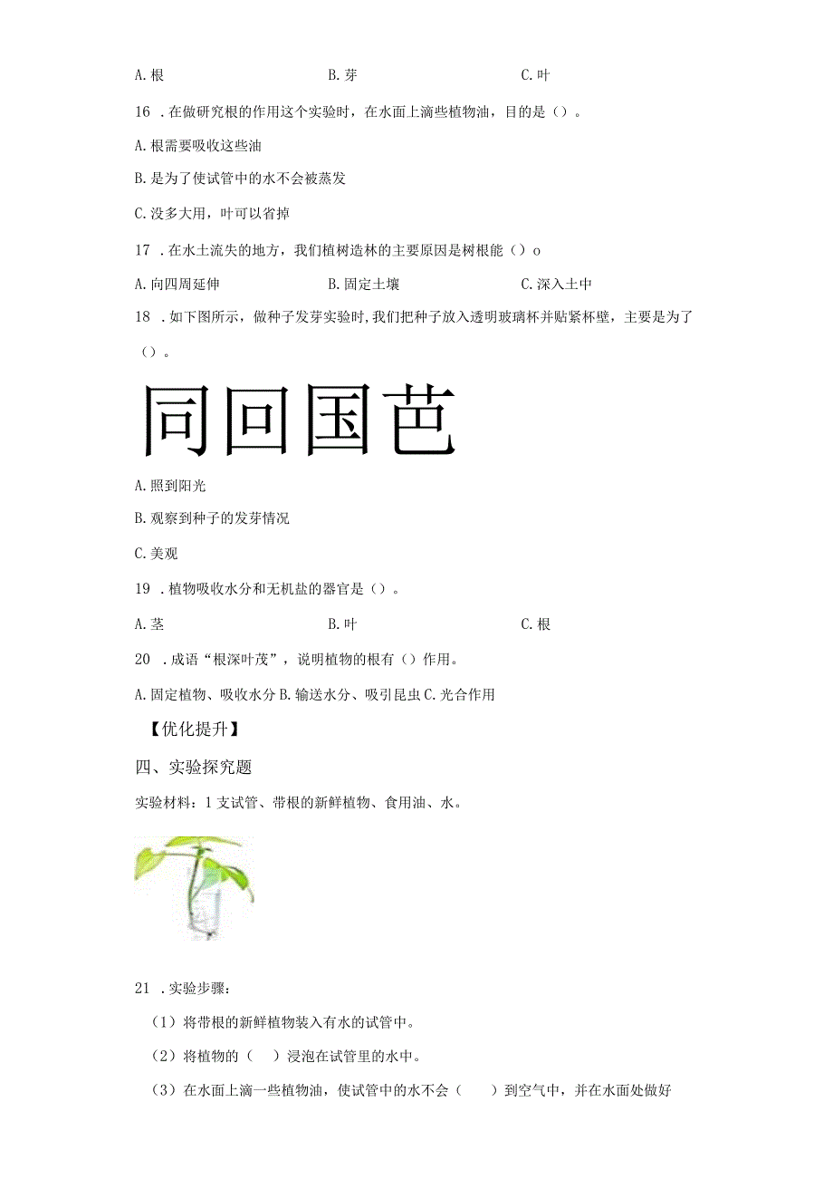 教科版科学四年级下册1-3种子长出了根练习卷.docx_第2页