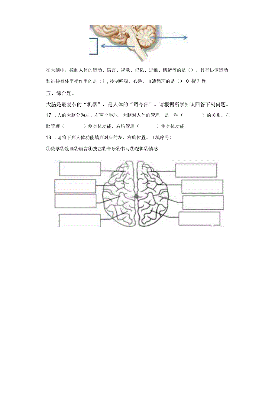 青岛版科学五年级下册1我们的脑同步分层作业（青岛版）.docx_第3页