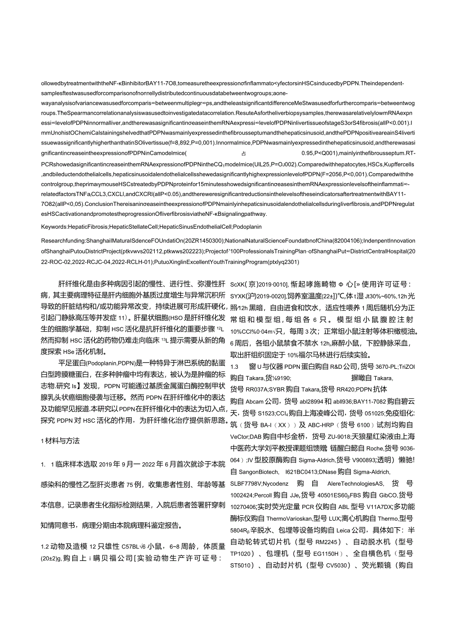 平足蛋白（PDPN）在肝星状细胞活化以及肝纤维化中的作用分析.docx_第2页