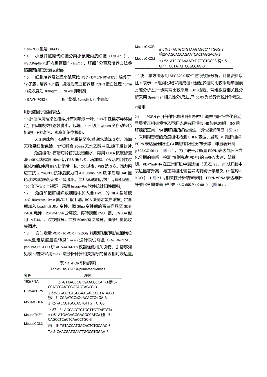 平足蛋白（PDPN）在肝星状细胞活化以及肝纤维化中的作用分析.docx_第3页