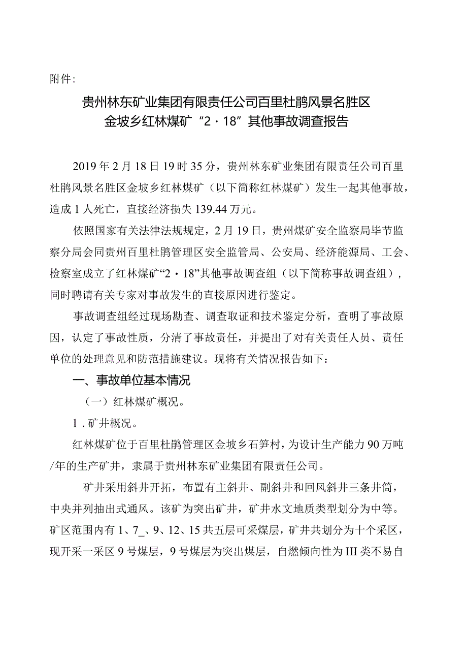 贵州林东矿业集团有限责任公司百里杜鹃风景名胜区金坡乡红林煤矿“2·18”其他事故调查报告.docx_第1页