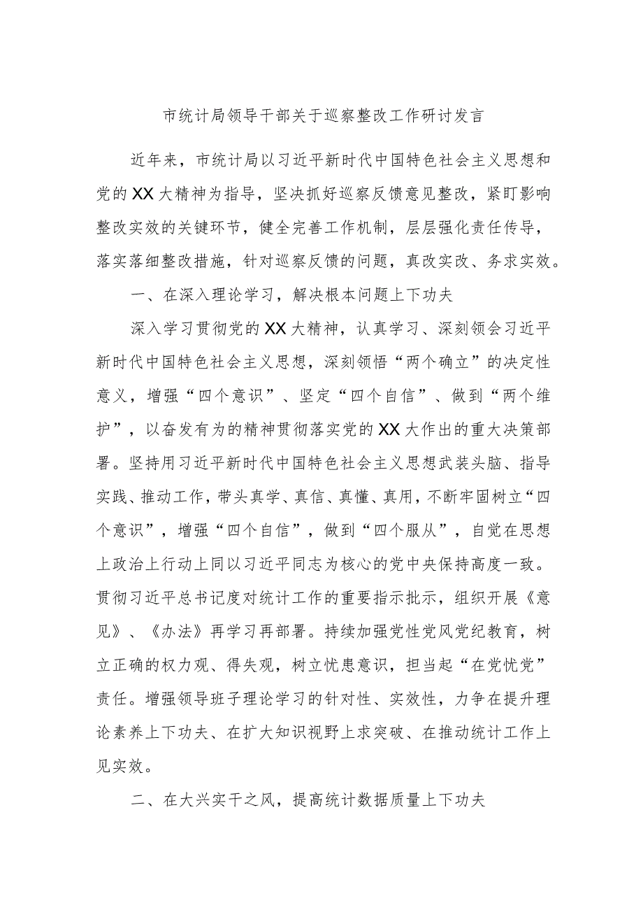 市统计局领导干部关于巡察整改工作研讨发言.docx_第1页