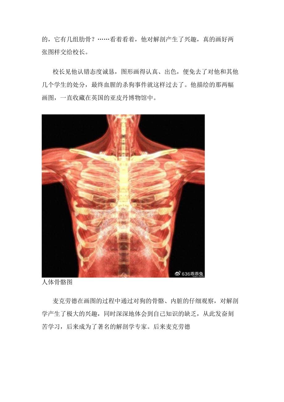 教育故事汇编（6）——两幅图画.docx_第2页