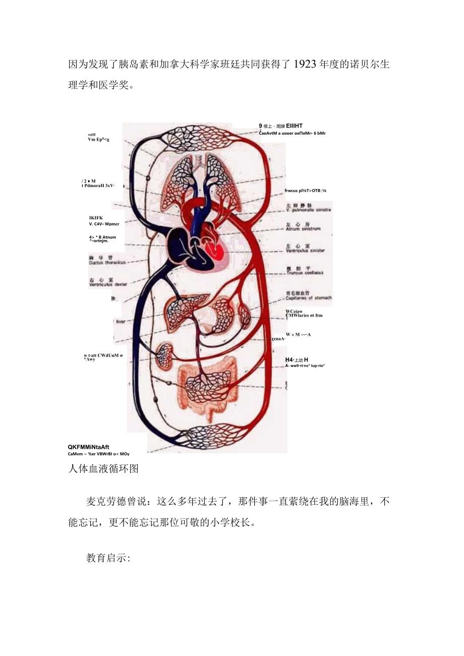 教育故事汇编（6）——两幅图画.docx_第3页