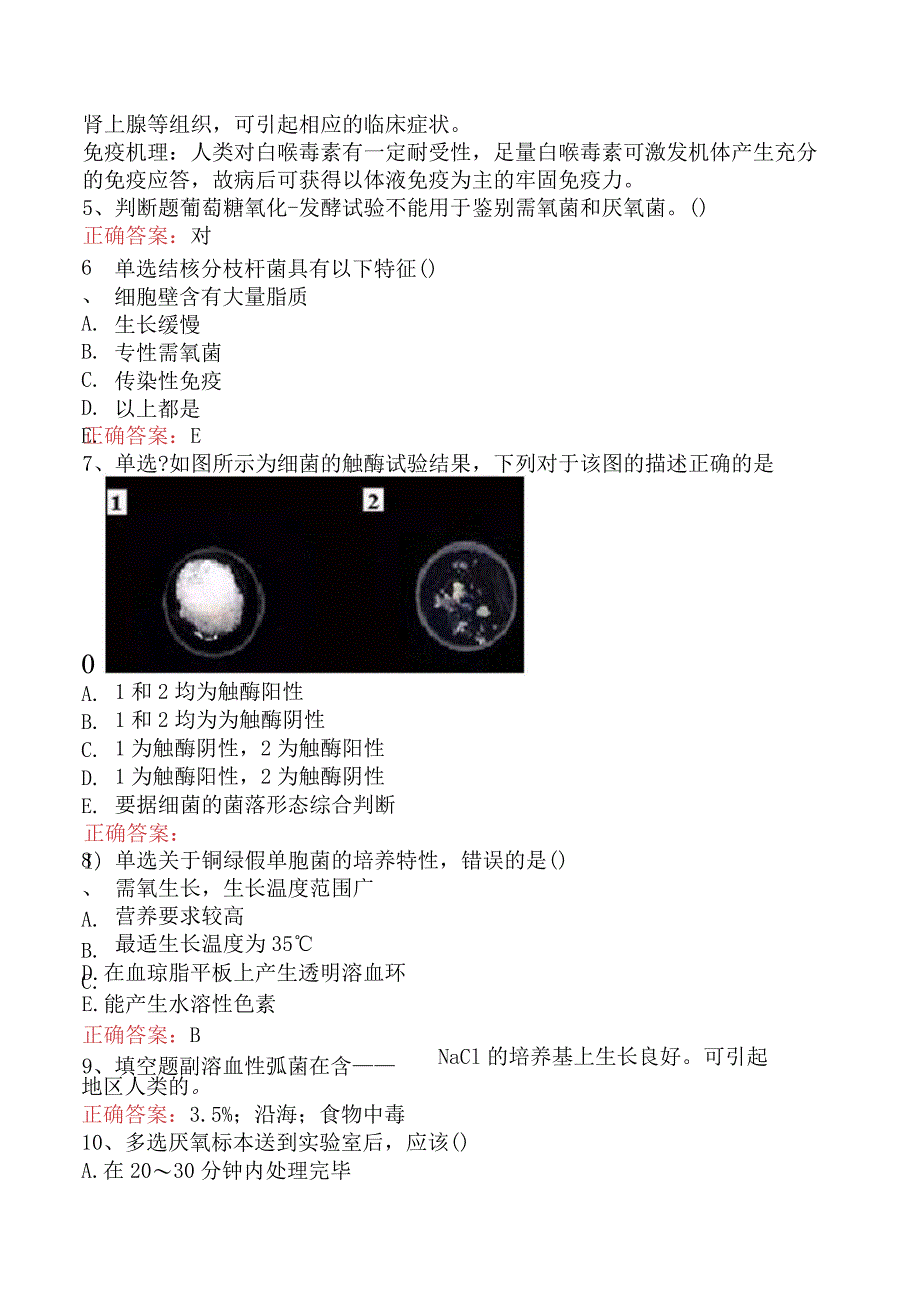 临床医学检验：临床细菌学学习资料.docx_第2页