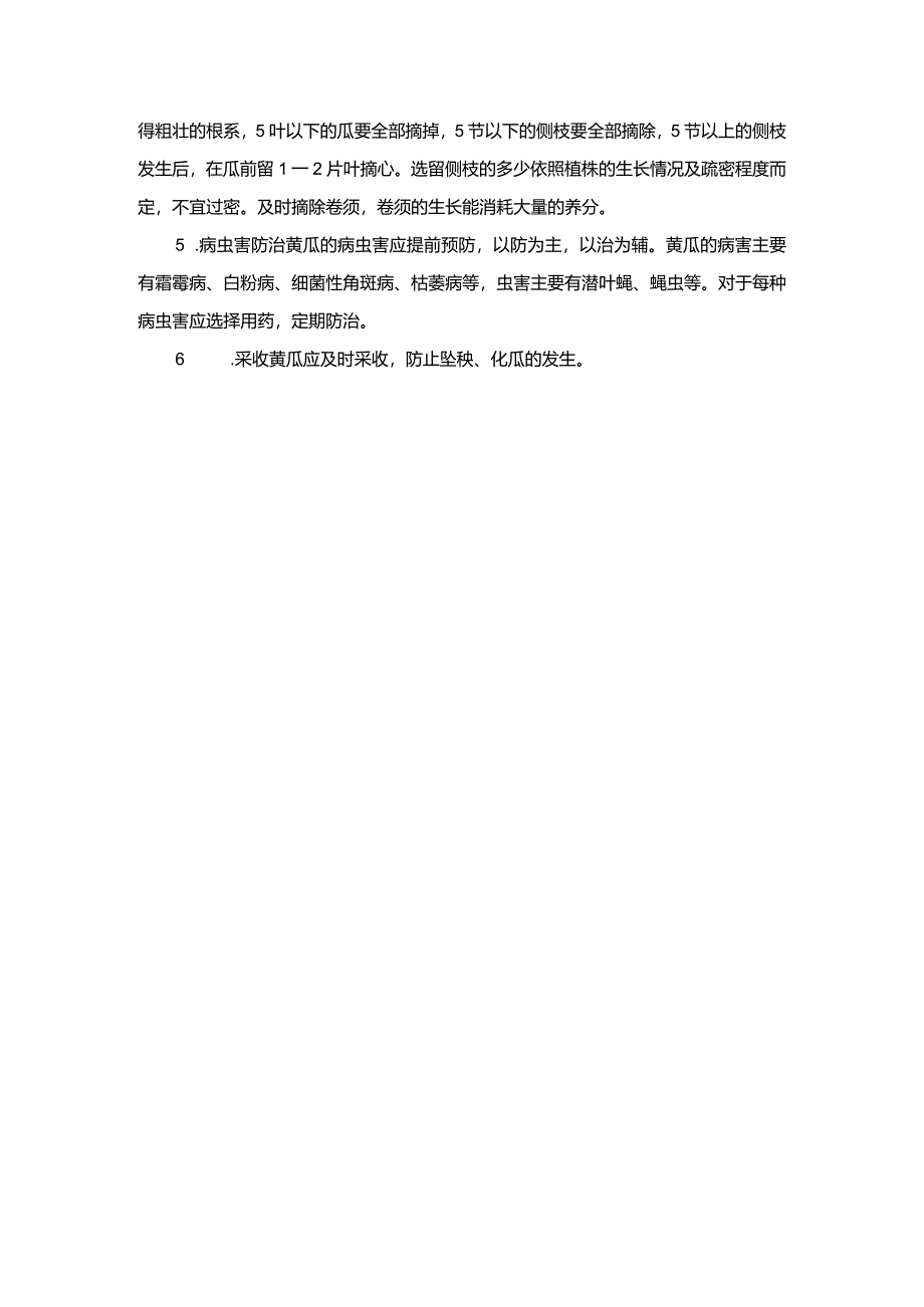 一品秀绿黄瓜及丰产栽培技术.docx_第2页