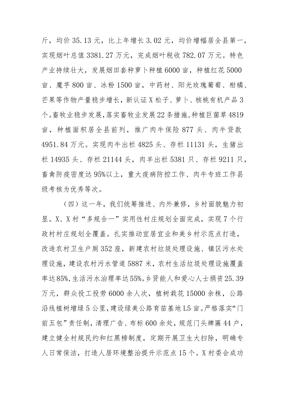 乡镇政府工作报告.docx_第3页