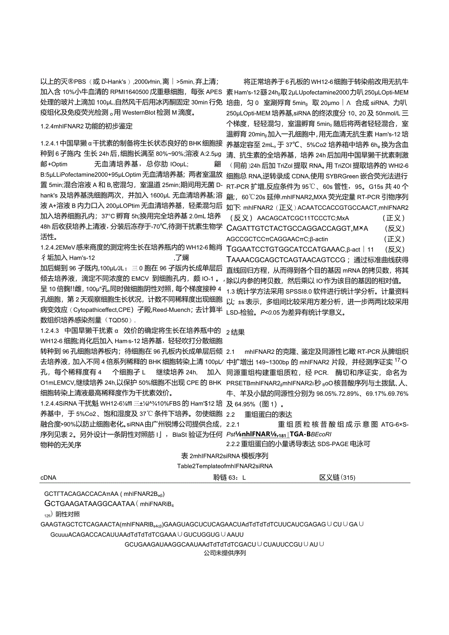 中国旱獭Ⅰ型干扰素受体β亚基克隆、表达及功能初步鉴定.docx_第3页