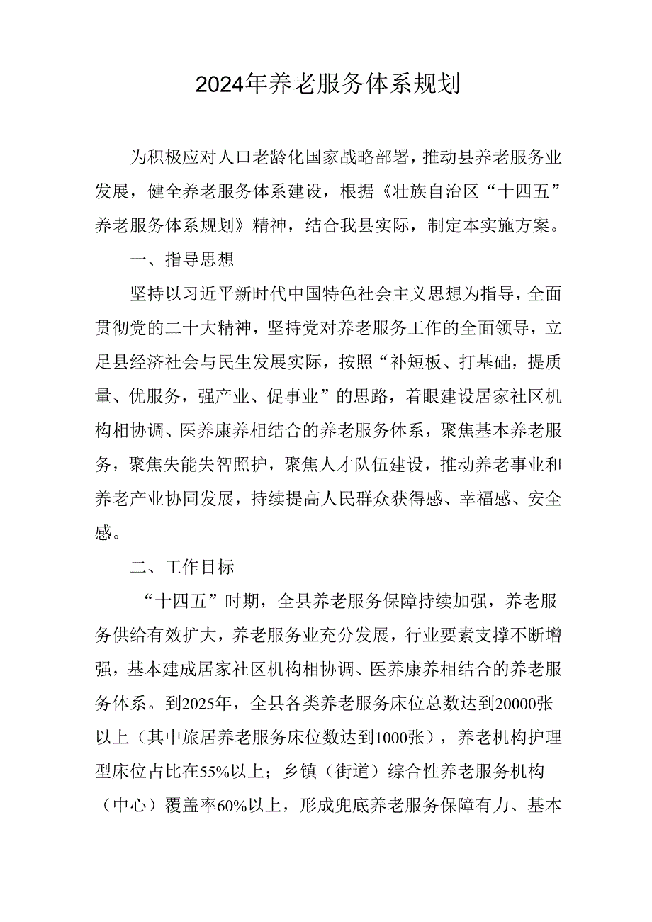 2024年养老服务体系规划.docx_第1页