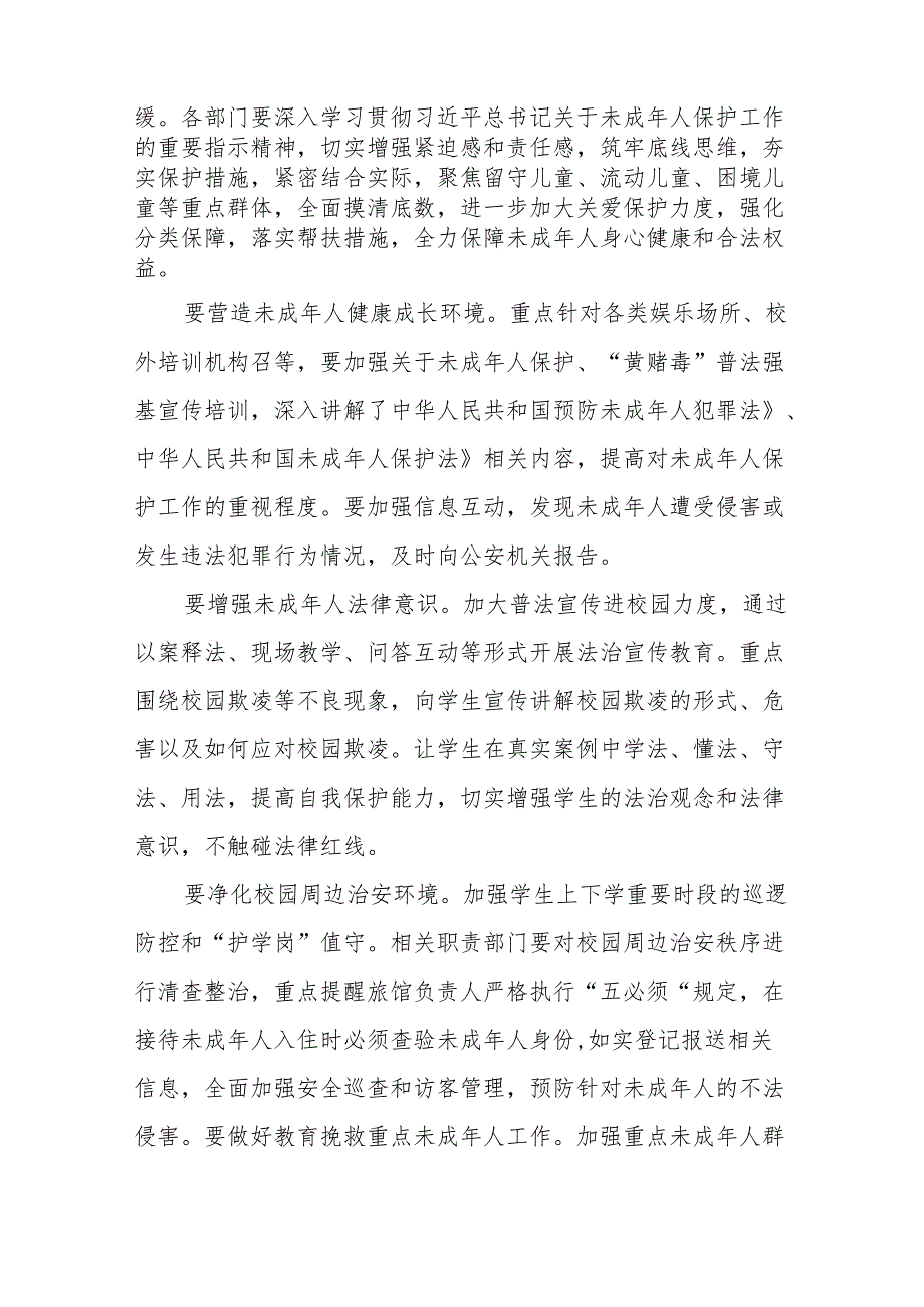 在全市2024年未成年人保护工作会议上的讲话提纲、工作计划.docx_第2页