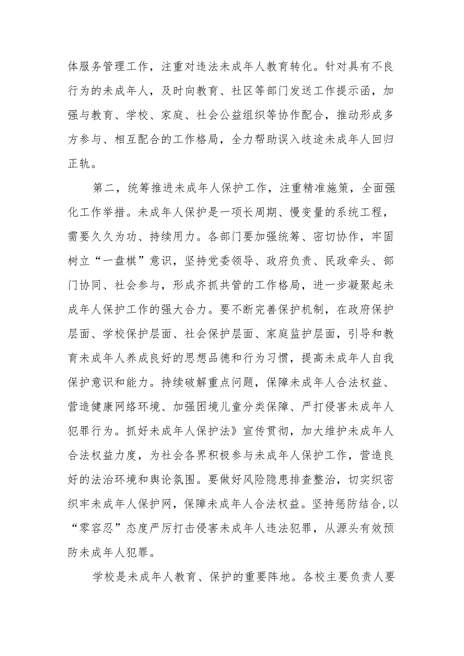 在全市2024年未成年人保护工作会议上的讲话提纲、工作计划.docx_第3页