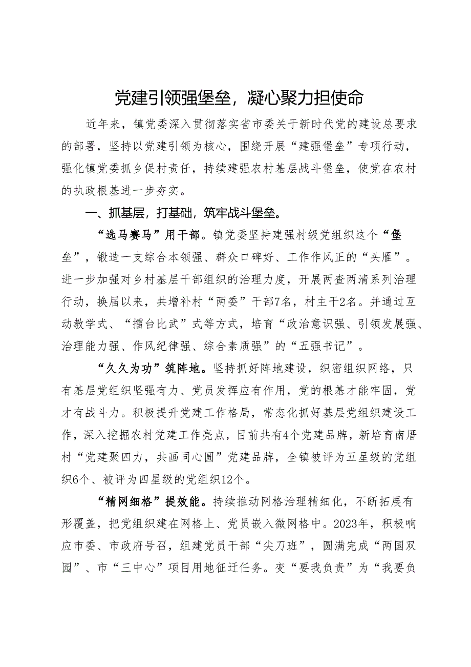 经验做法：党建引领强堡垒凝心聚力担使命.docx_第1页