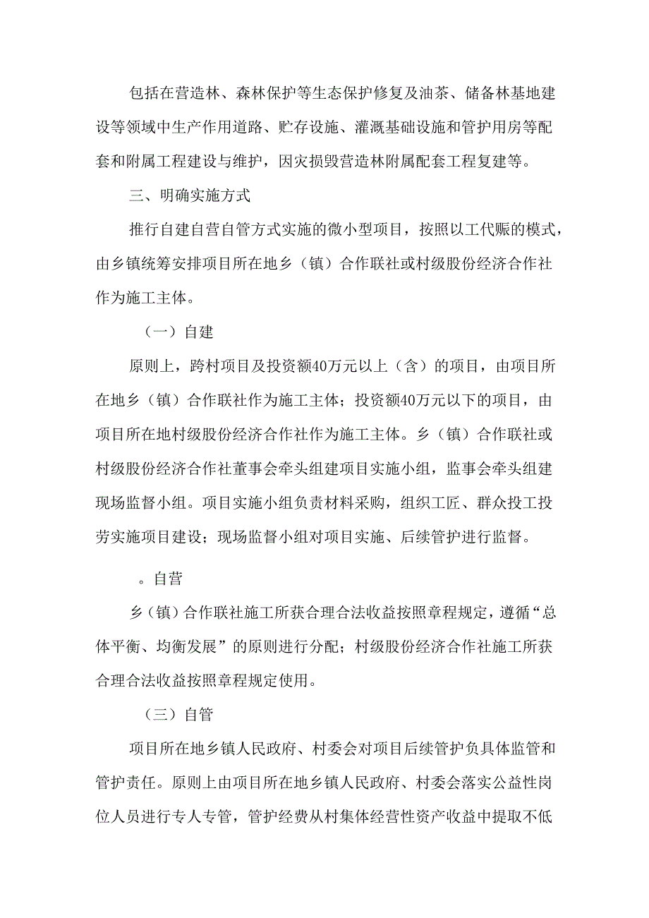 关于在农业农村基础设施建设领域微小型项目推行自建自营自管方式的意见.docx_第3页