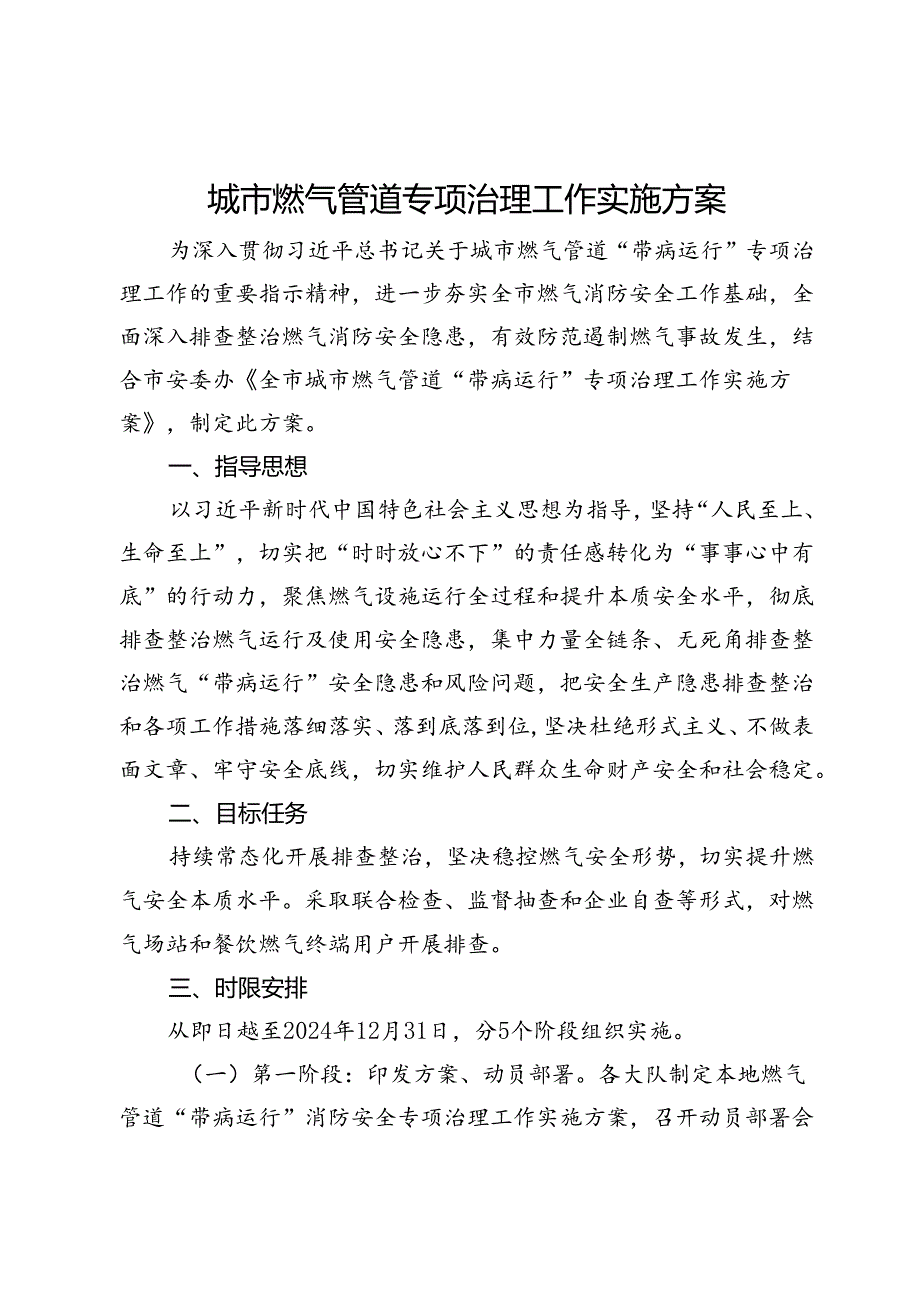 城市燃气管道专项治理工作实施方案.docx_第1页