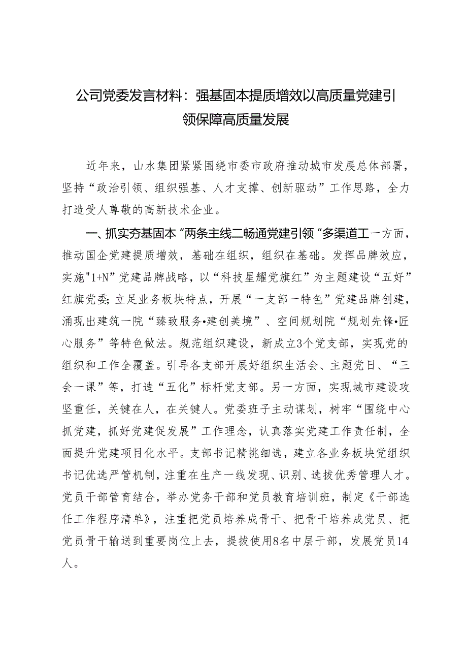 2024年公司党委强基固本 提质增效 以高质量党建引领保障高质量发展发言材料.docx_第1页