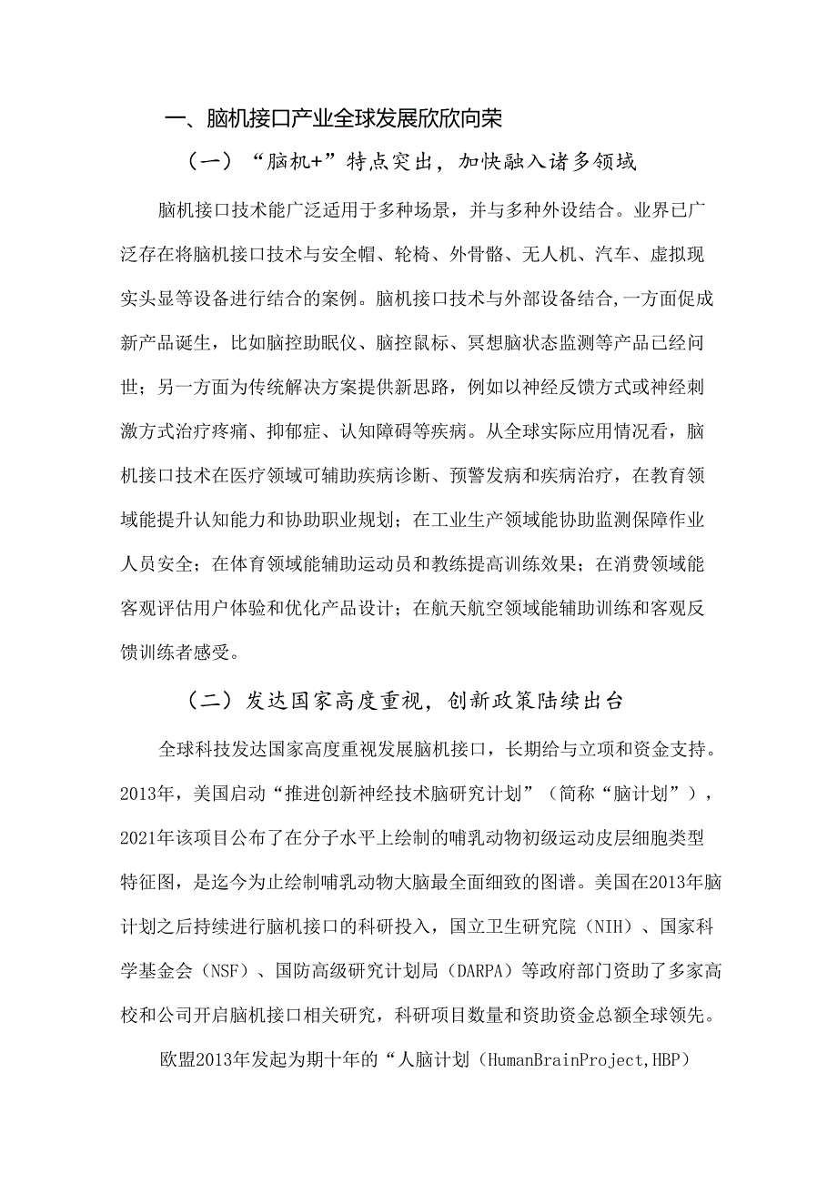 2023脑机接口技术报告.docx_第2页