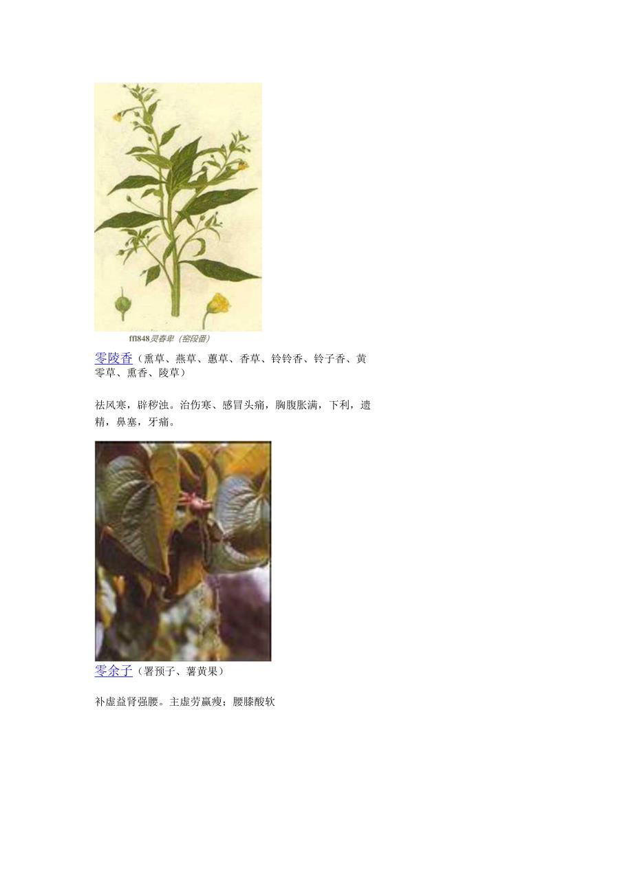 3000种中医药材第1301-1400种.docx_第1页