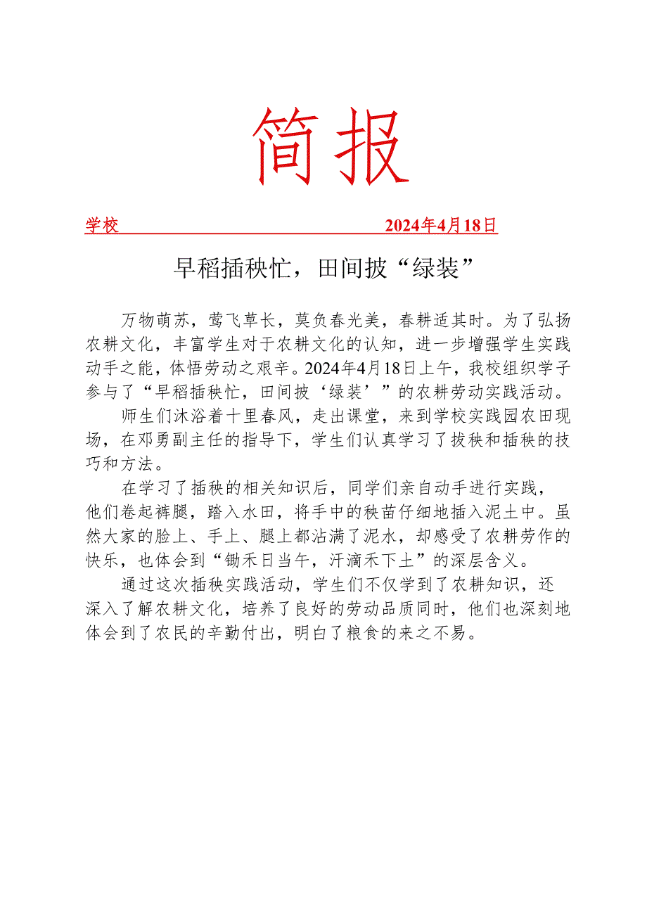 开展插秧实践活动简报.docx_第1页