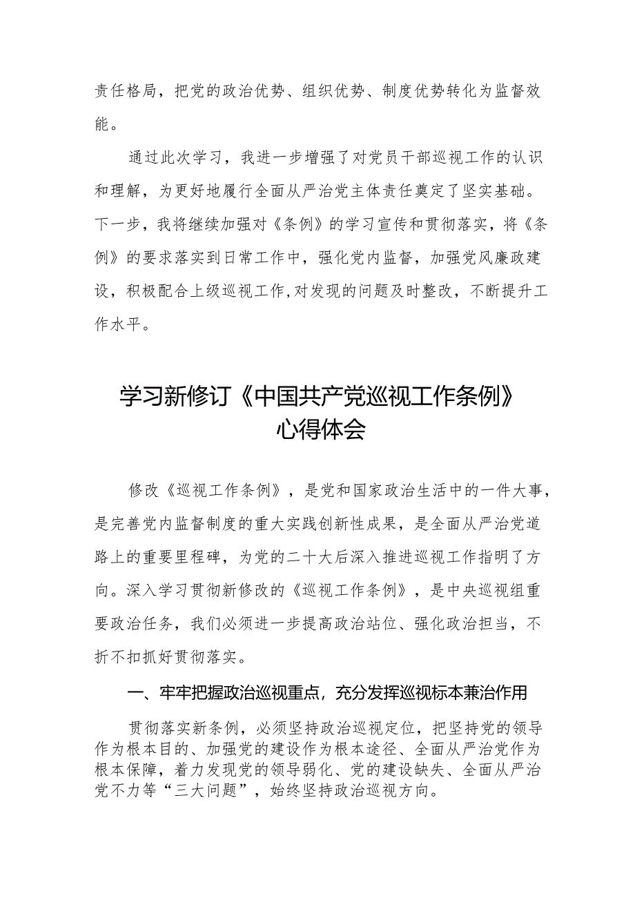 纪检巡察干部学习2024版新修订中国共产党巡视工作条例的心得体会四篇.docx_第2页