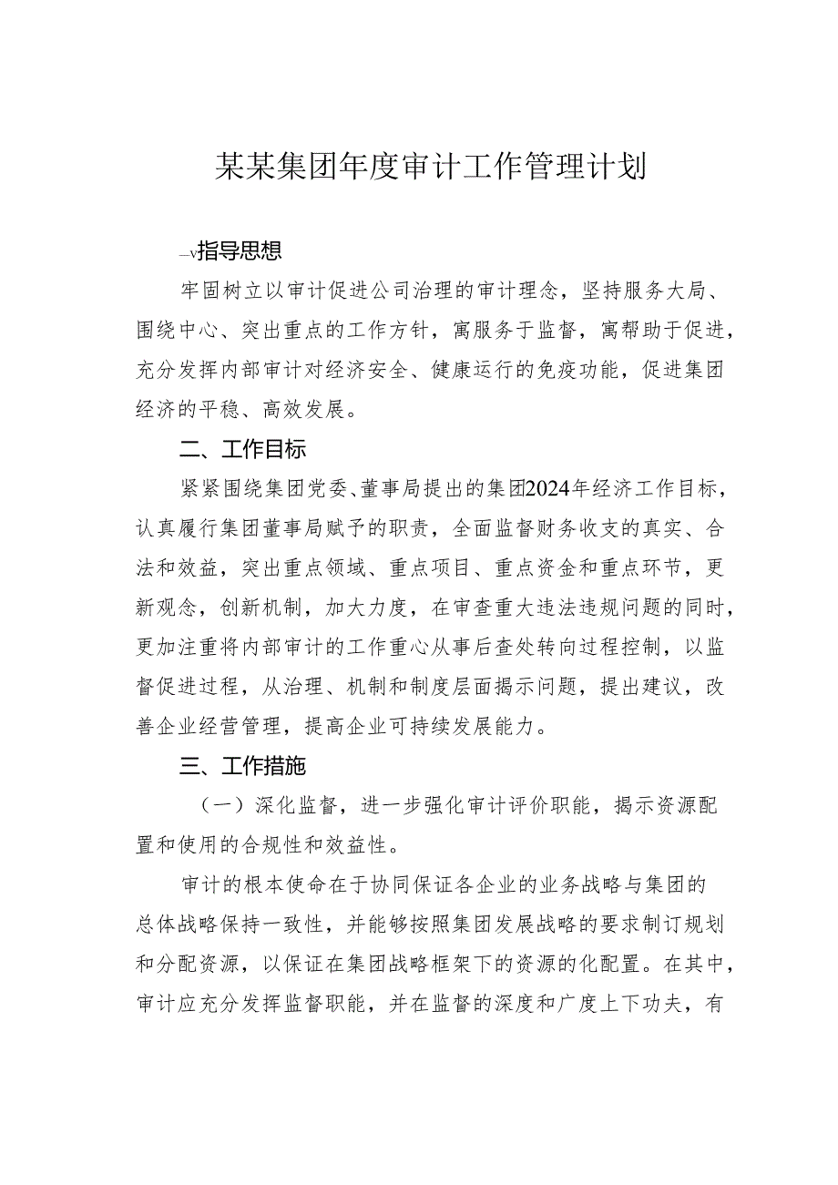 某某集团年度审计工作管理计划.docx_第1页