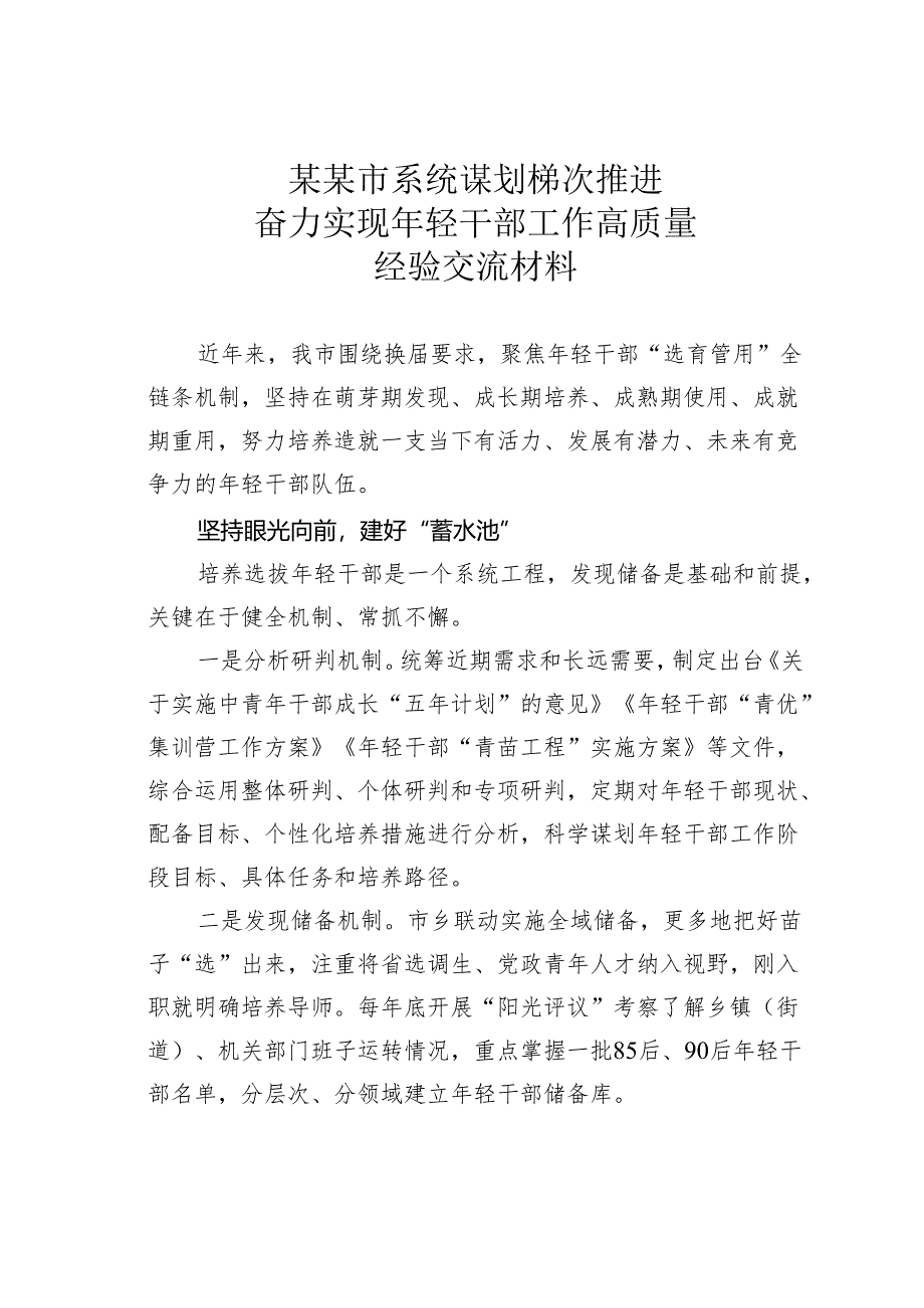 某某市系统谋划梯次推进奋力实现年轻干部工作高质量经验交流材料.docx_第1页