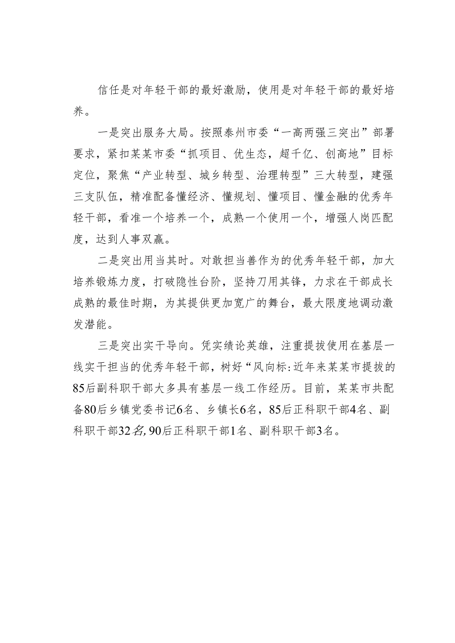 某某市系统谋划梯次推进奋力实现年轻干部工作高质量经验交流材料.docx_第3页