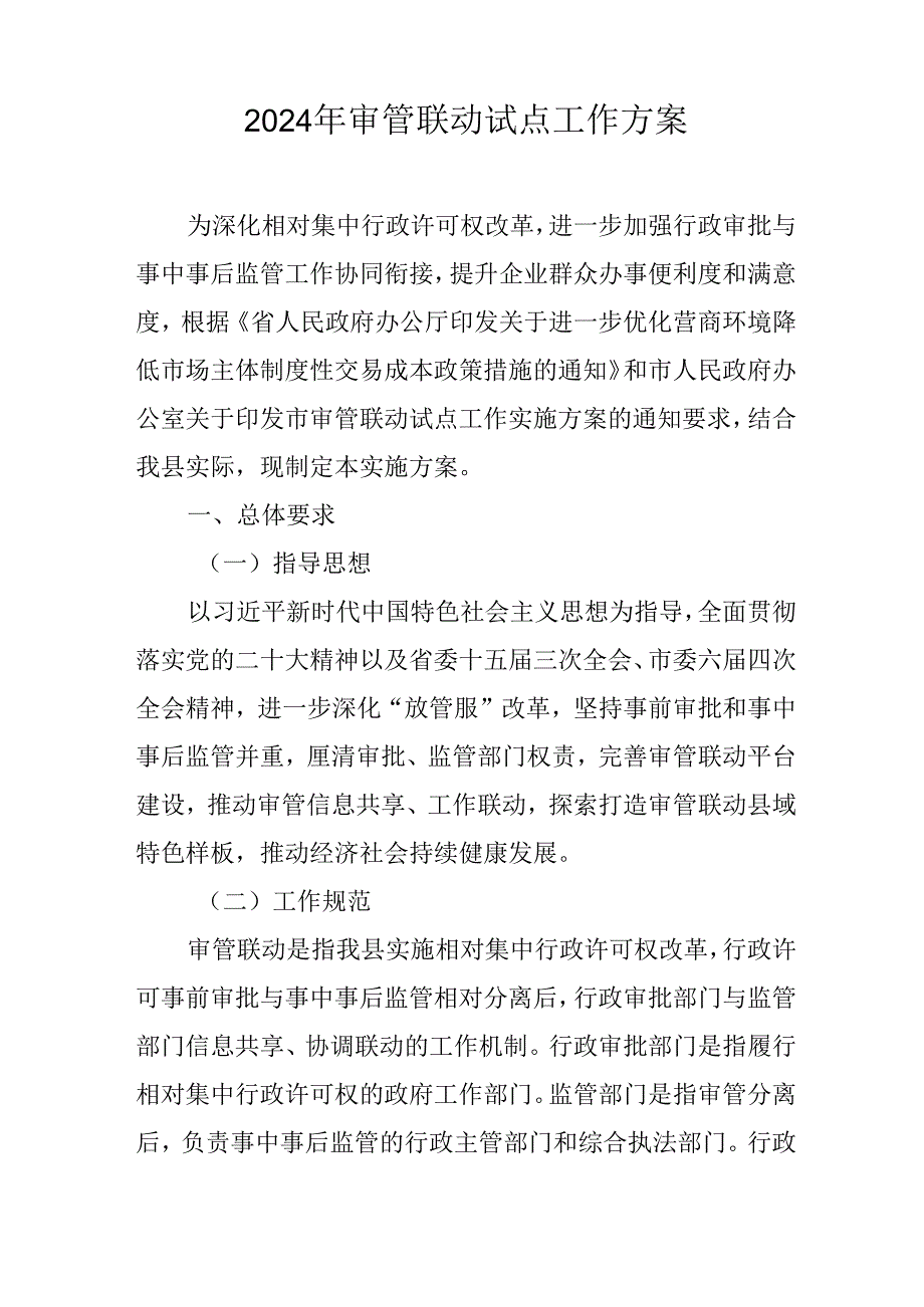 2024年审管联动试点工作方案.docx_第1页