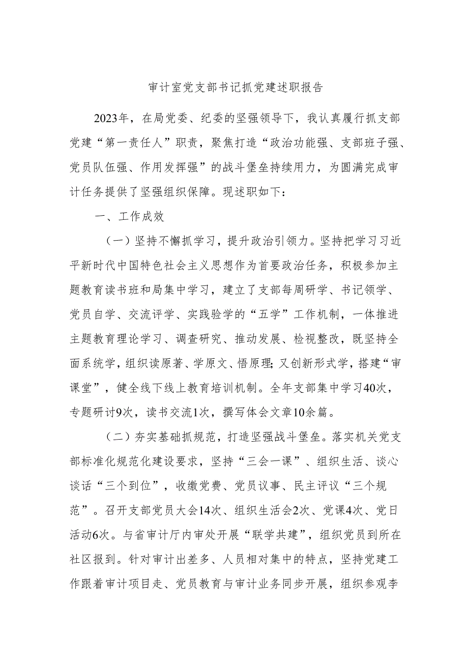 审计室党支部书记抓党建述职报告.docx_第1页